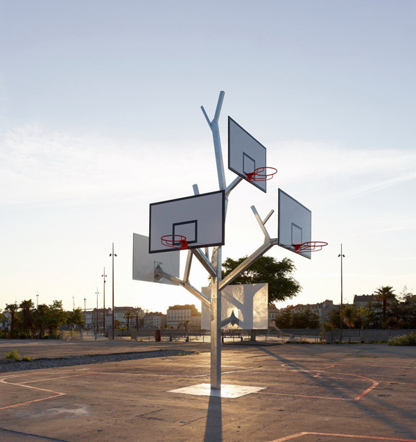 arbre basket nantes