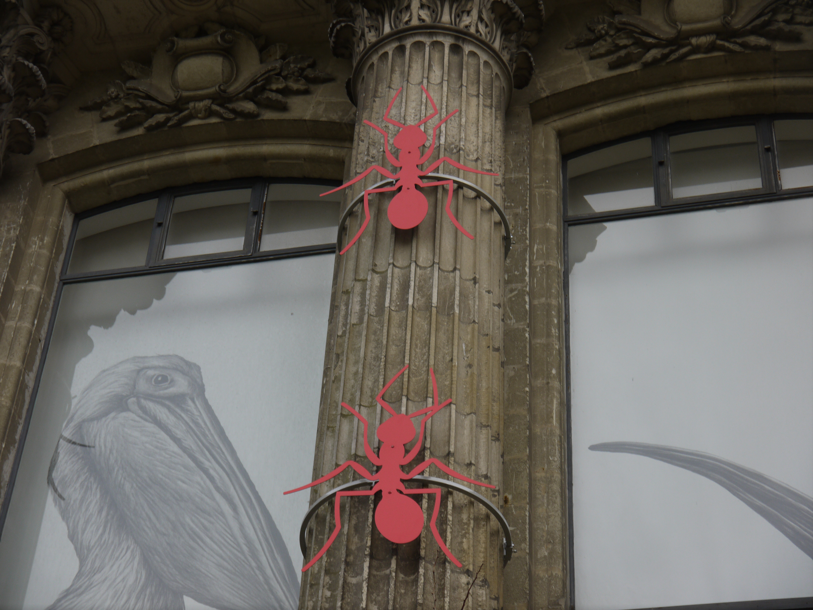 fourmis rouges museum nantes