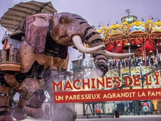 machines de lile un paresseux