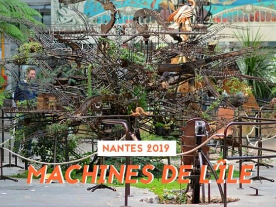 machines de lile paresseux