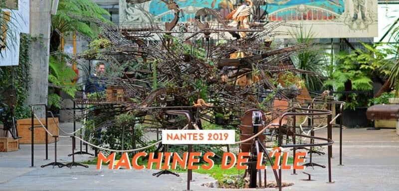 machines de lile paresseux