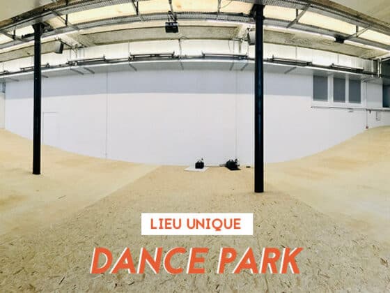 dance park tout et rien denis mariotte lieu unique