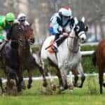 Hippodrome-de-Nantes-galop-course