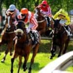 hippodrome-nantes-galop