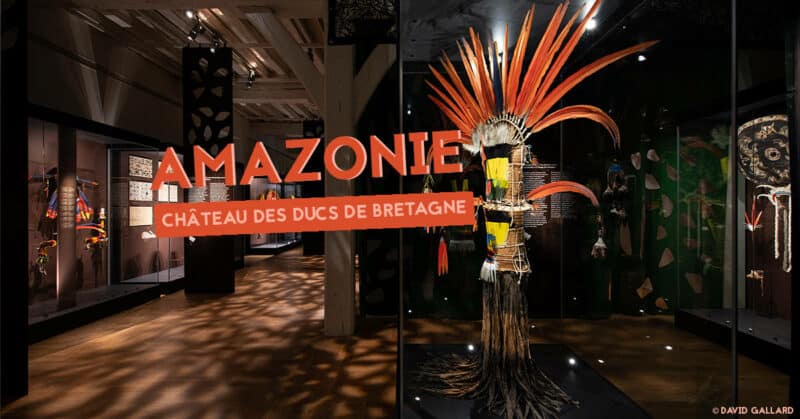 exposition amazonie chateau des ducs de bretagne