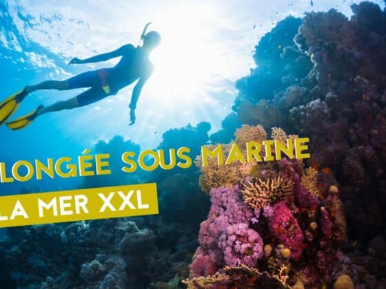 la mer xxl plongee sous marien exposition nantes 2019