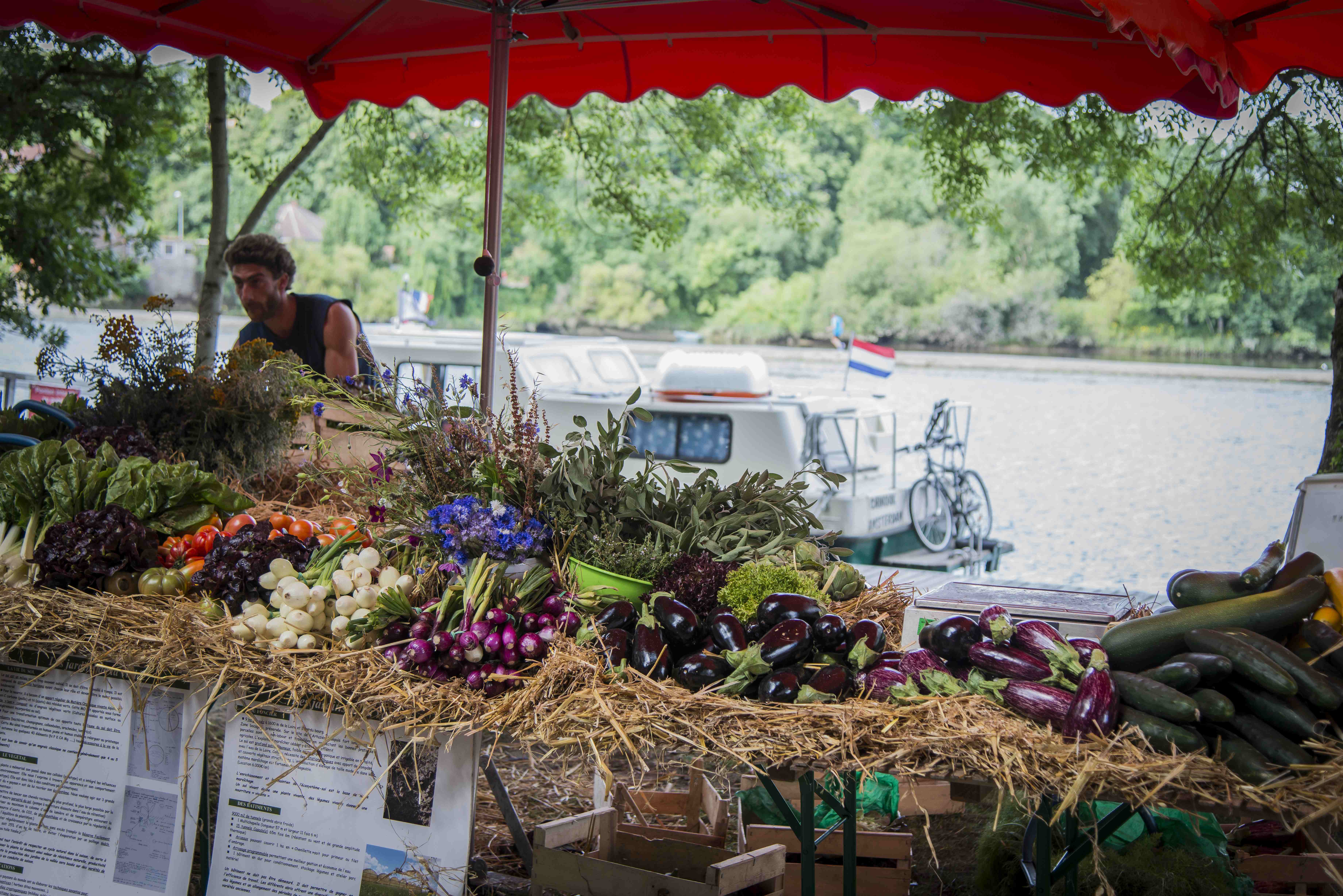 Champ des producteurs 2016