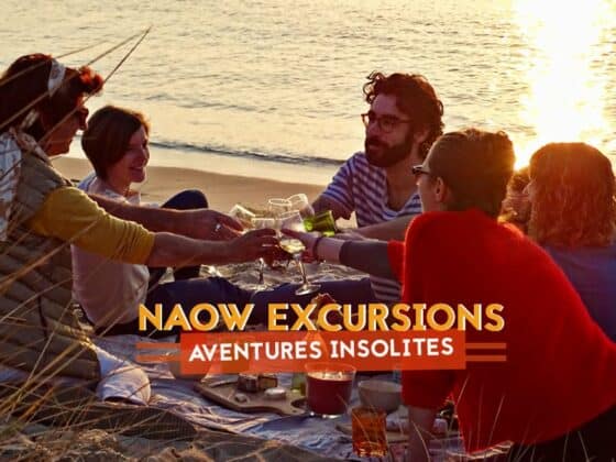 naow excursions nantes 1