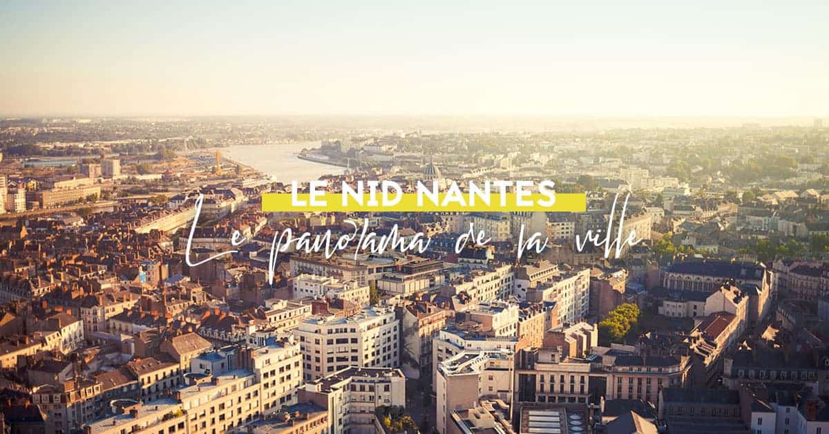 le nid nantes bar