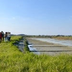 naow excursions guerande dimanche