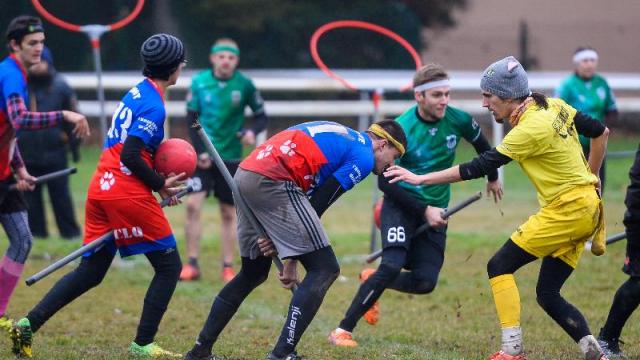 quidditch sports insolites top 