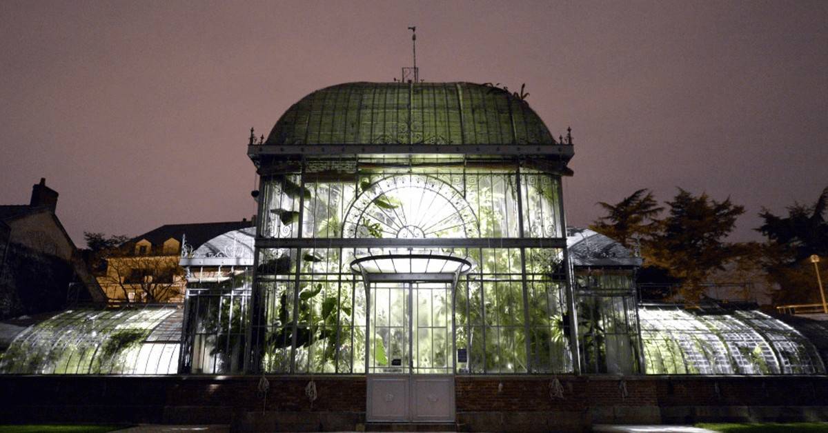 amazonuits chateau des ducs jardin des plantes