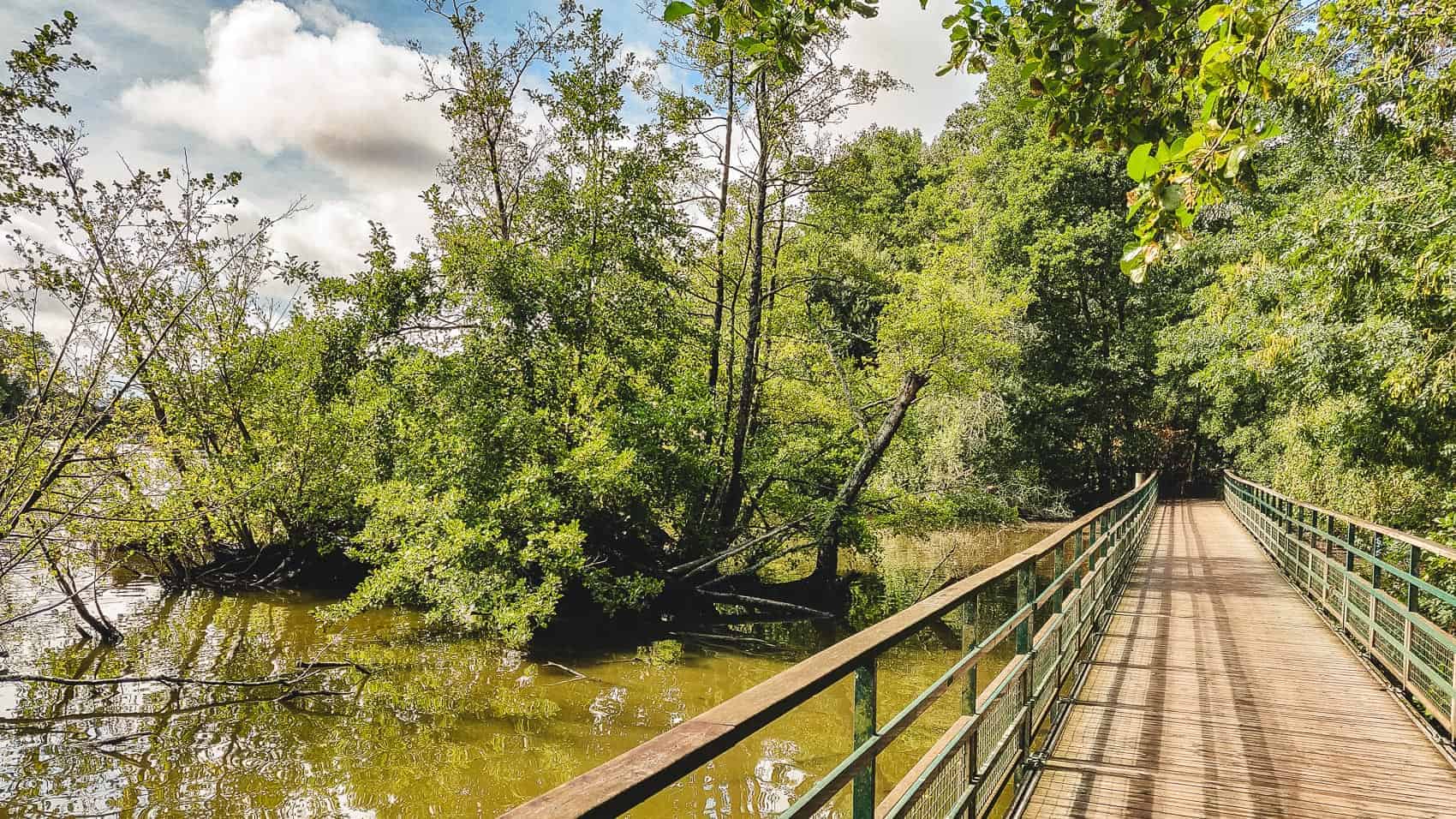 au bord de l'erdre randonnees balade