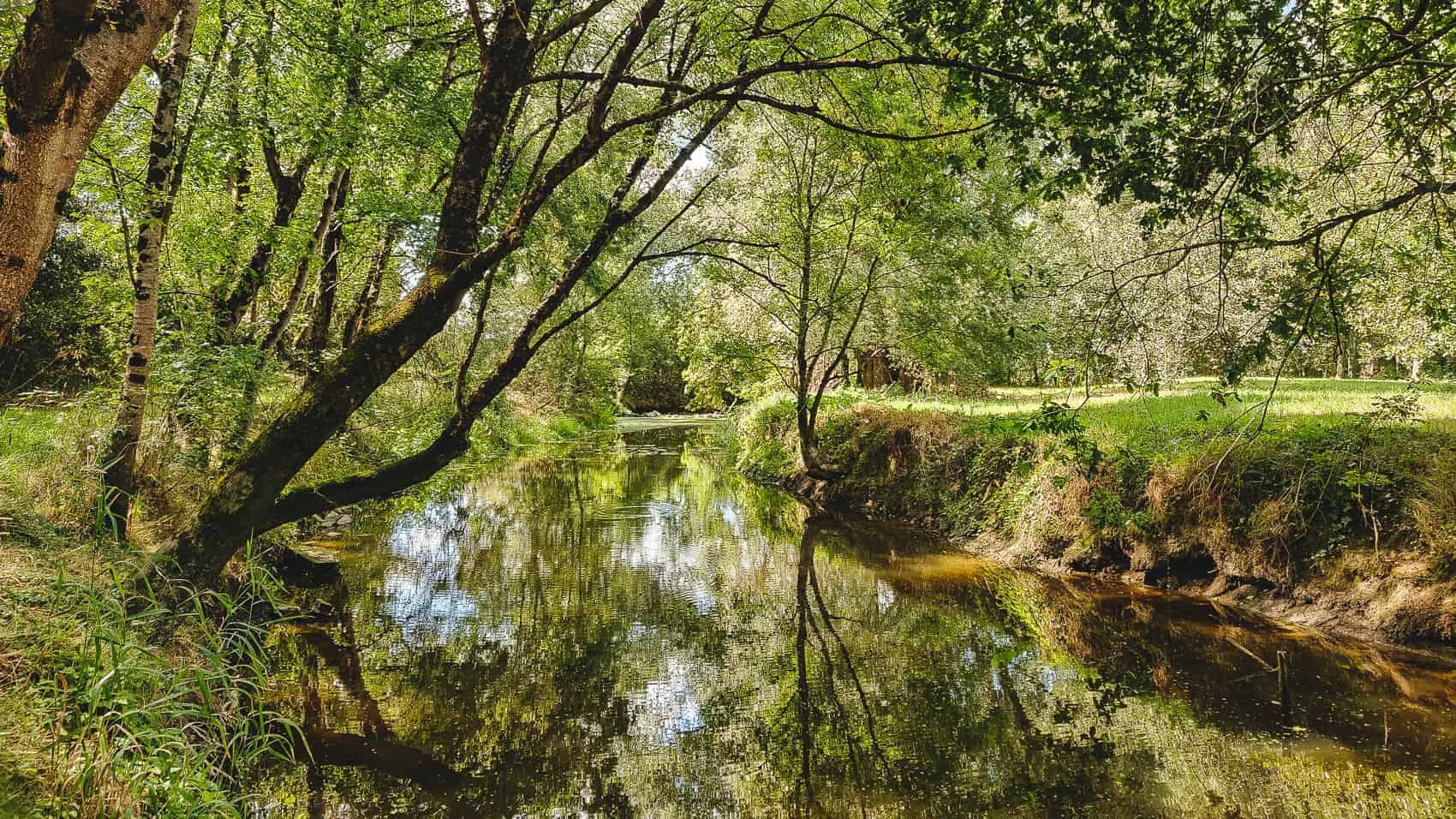 les marais de pont-saint-martin randonnees nantes balade 1