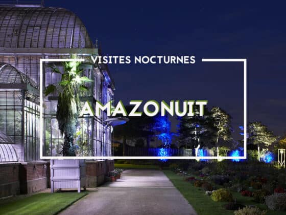 visites nocturnes au jardin des plantes par chateau des ducs de bretagne 2019