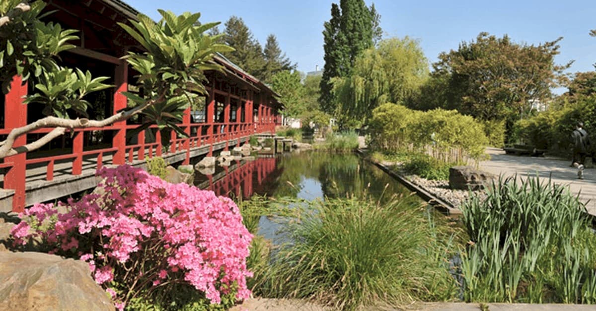 jardin japonais ile de versailles nantes parcs jardins