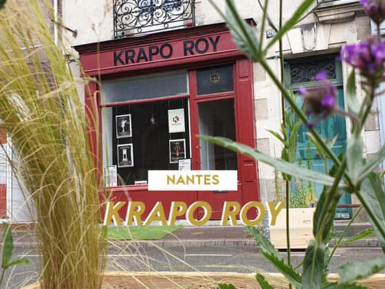 theatre krapo roy nantes 2