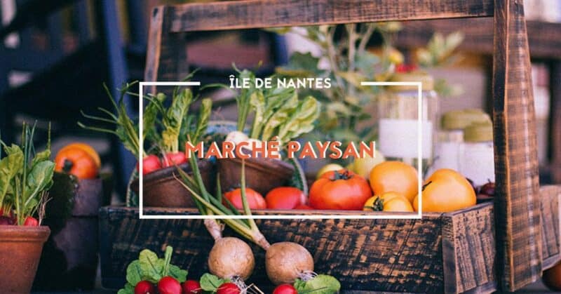 ecossolies marche paysan de lile de nantes 2