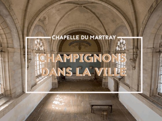 2020 chapelle du martray champignons