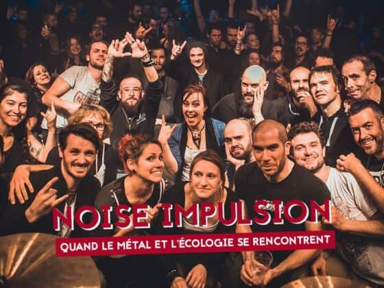 association noise impulsion nantes festival indonesie 4