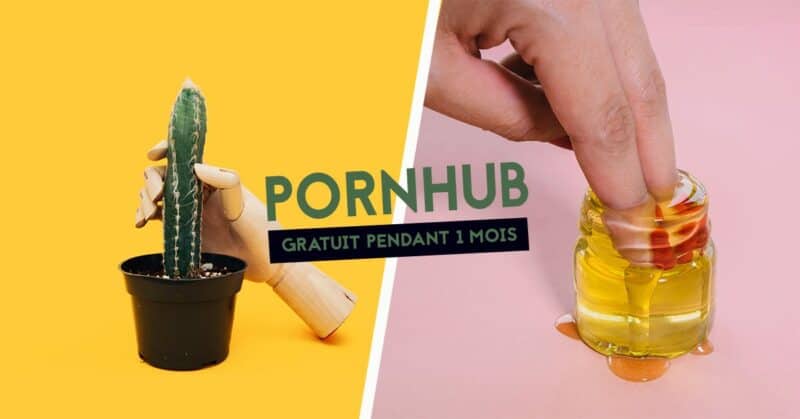 coronavirus pornhub