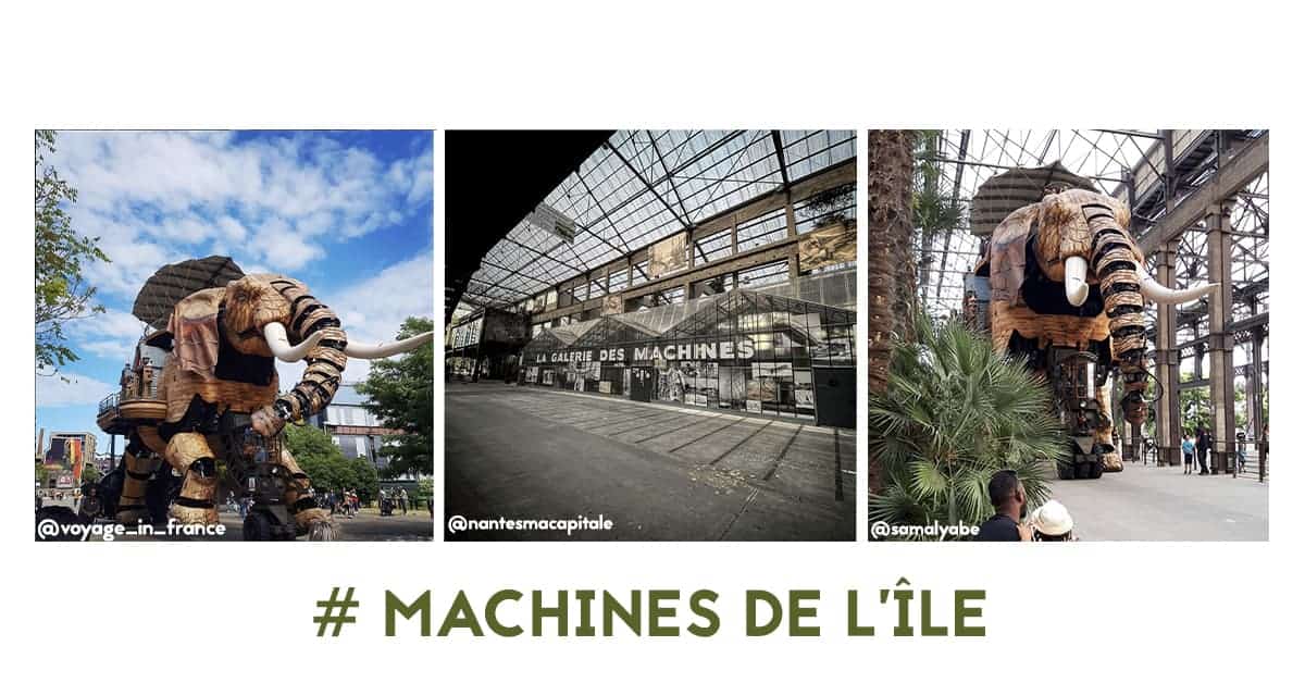 machines de l ile elephant nefs