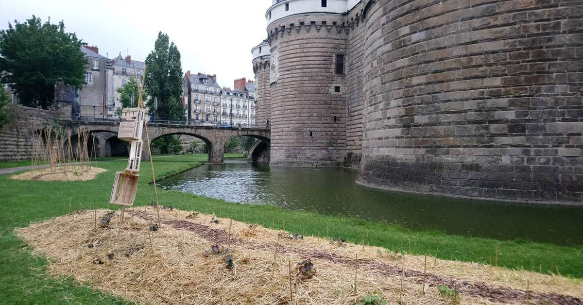 paysage nourricier potagers geants aide alimentaire nantes 3