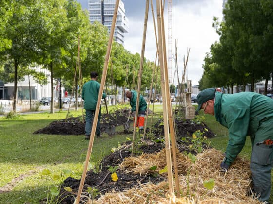 paysage nourricier potagers geants aide alimentaire nantes