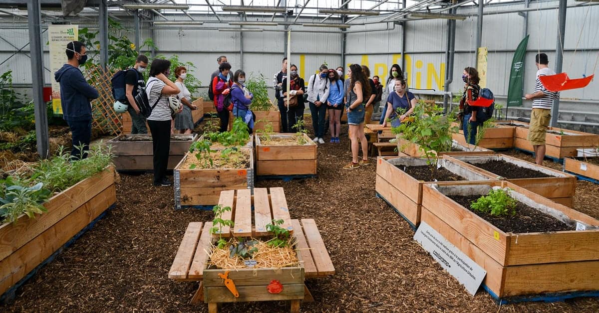 agronaute sauge cours de jardinage pour adultes