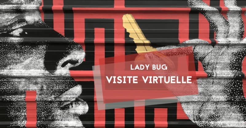 lady-bug-visite-virtuelle-exposition-nantes