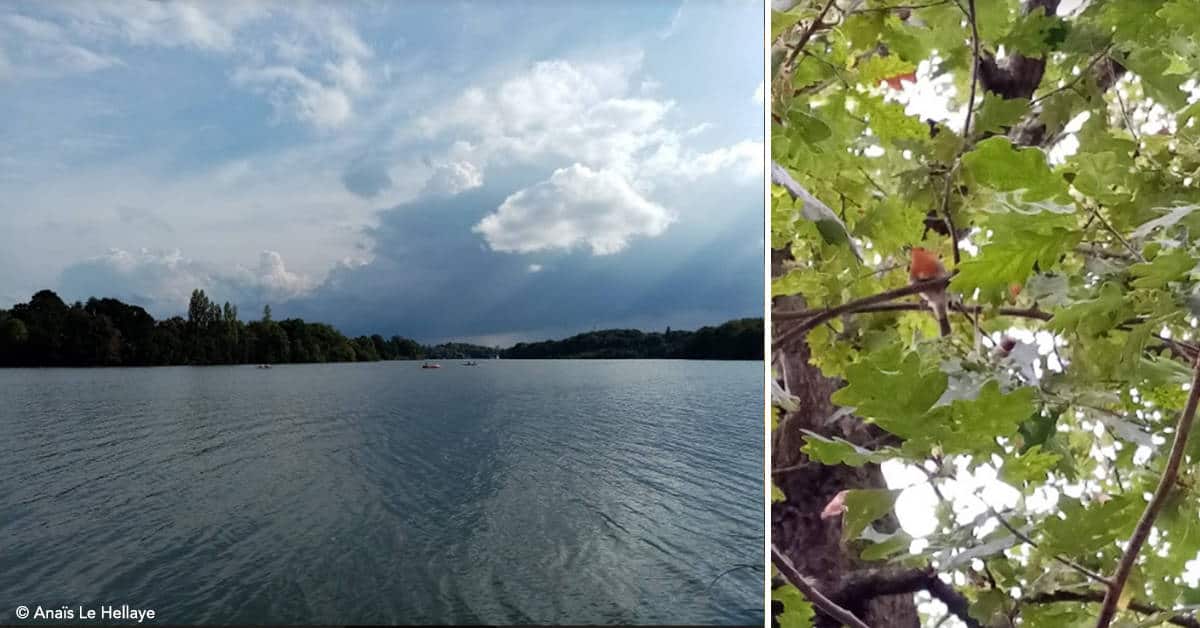 Erdre-bois-de-la-Desnerie-balades-20 km-oiseaux-nantes