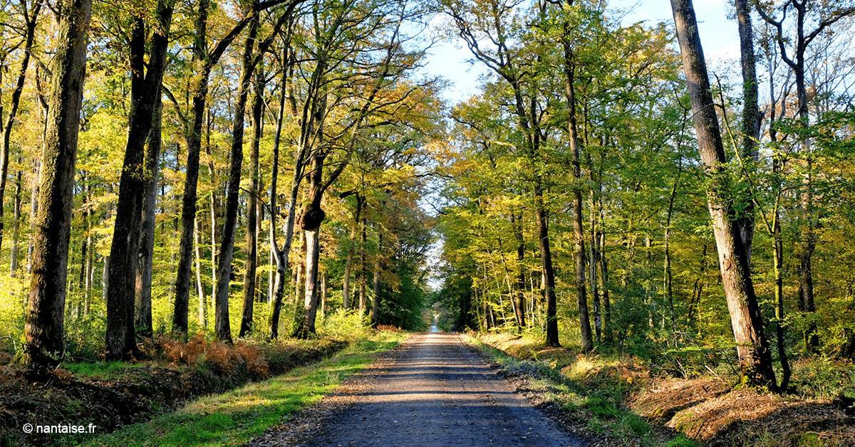 nantes-foret-gavre-balades-velo