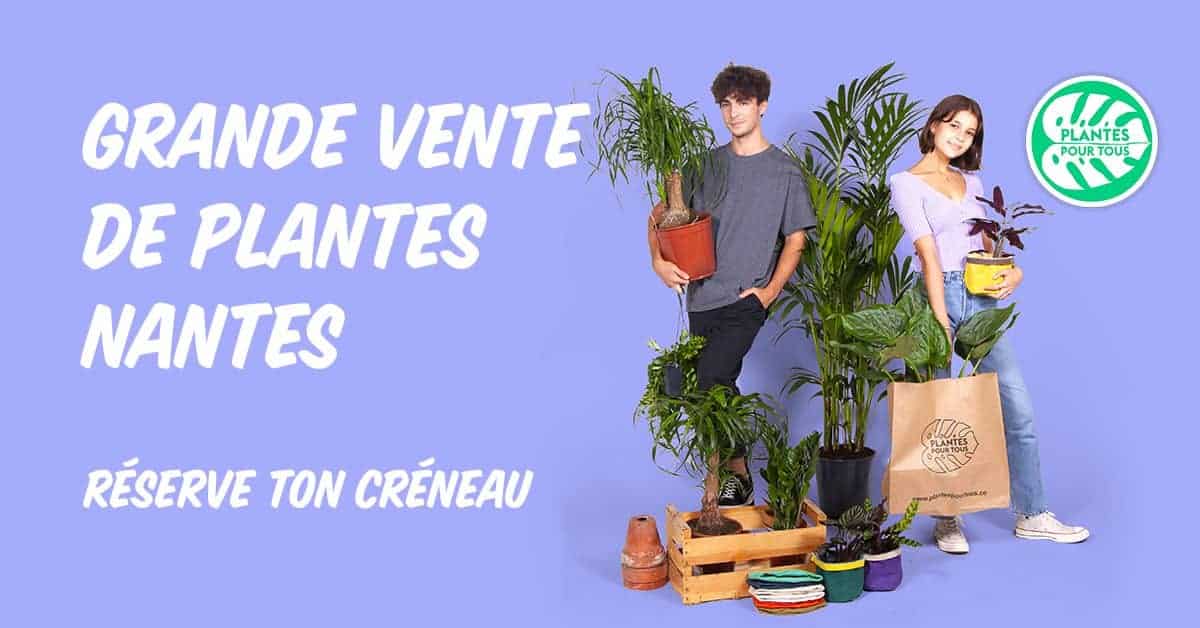 plantes pour tous 2021 grande vente de plantes cantine numerique nantes