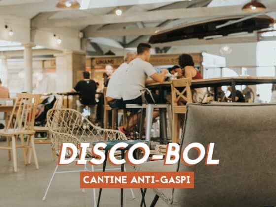 disco bol cantine anti gaspi tiers lieu