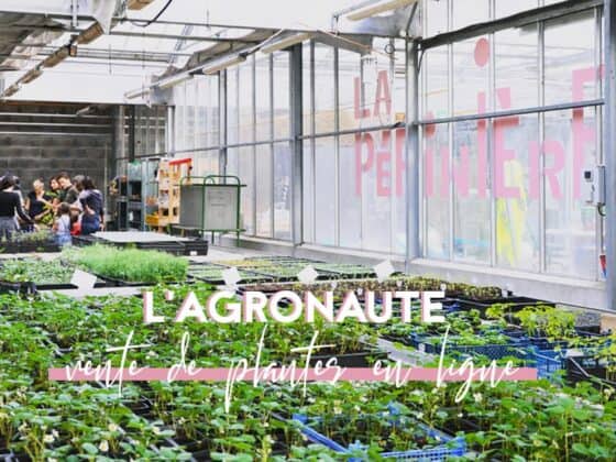 vente de plantes en ligne agronaute sauge