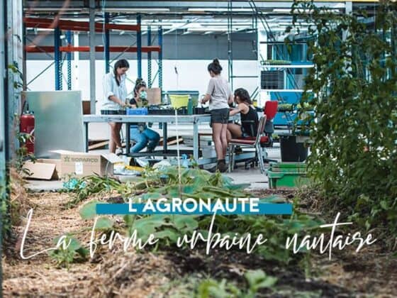 agronaute nantes vente de plantes et journee ateliers 2021 1