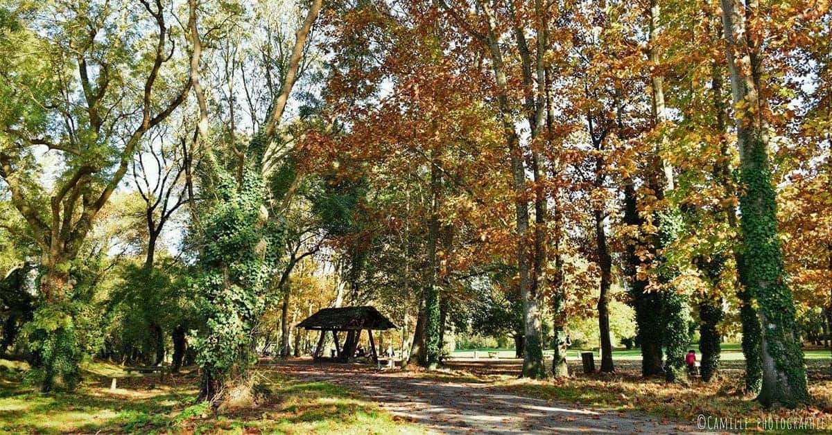 Parc du crapa nantes pique nique spots 2021