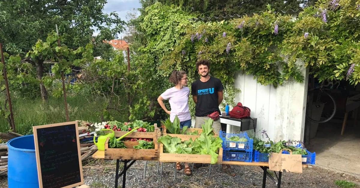 ferme du contrevent ferme urbaine agriculture nantes