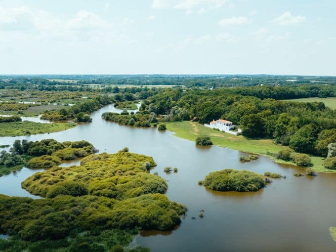 lac de grandlieu