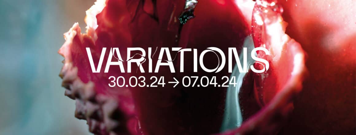 FEstival Variations Nantes