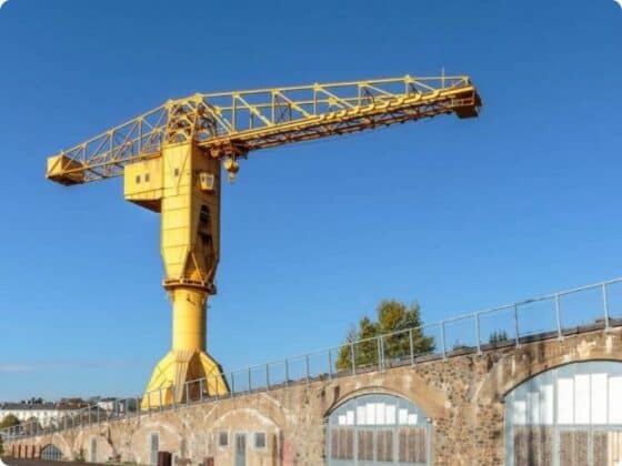 Grue jaune nantes