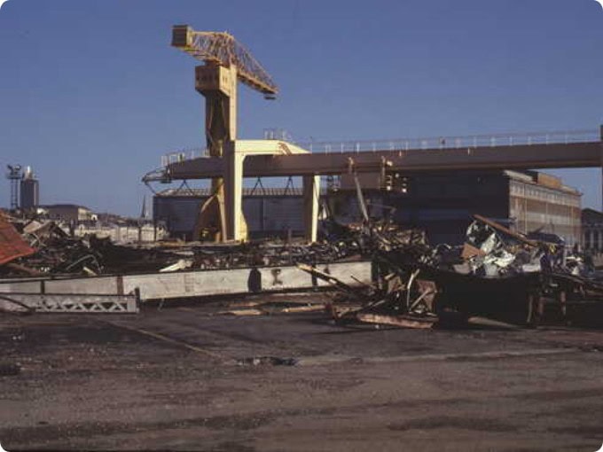 grue jaune en 1999