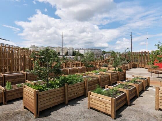 Potager cantine du voyage