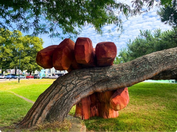 Luffy and the tree