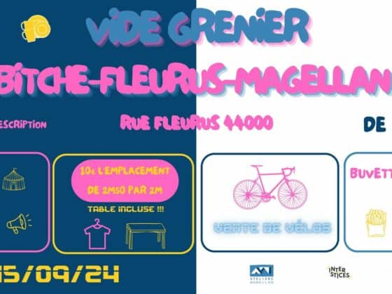 Vide Grenier Bitche Fleurus magellan