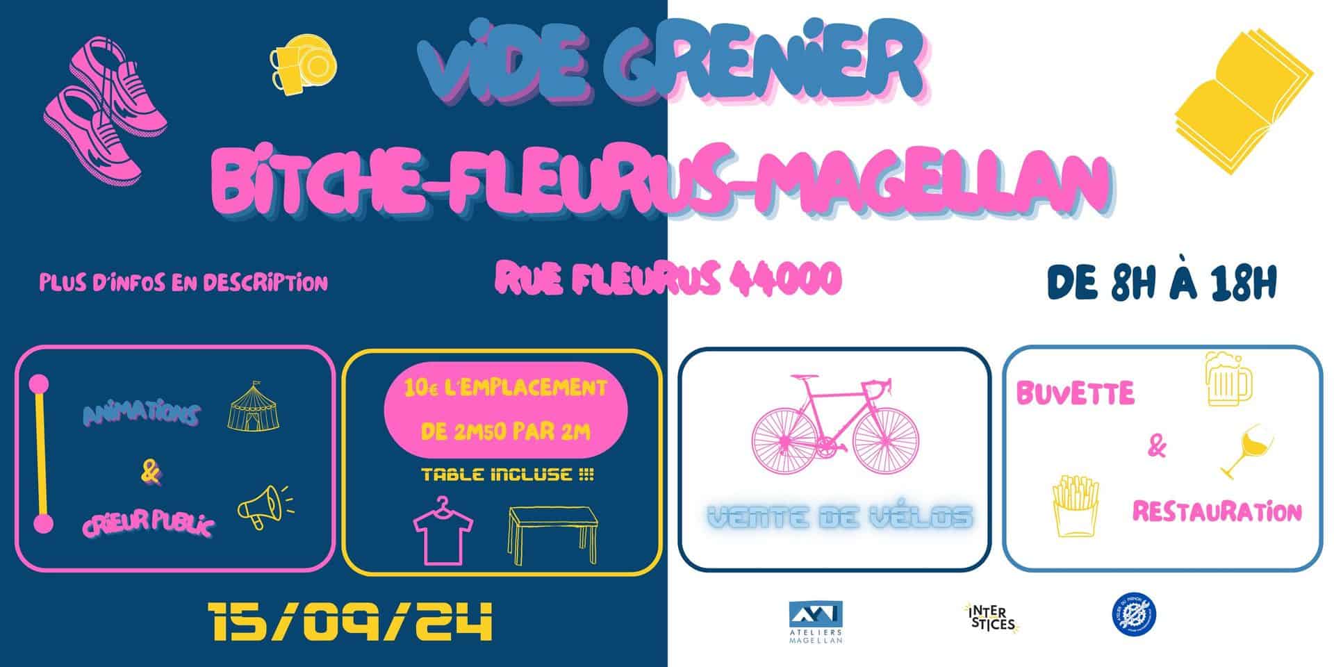 Vide Grenier Bitche Fleurus magellan