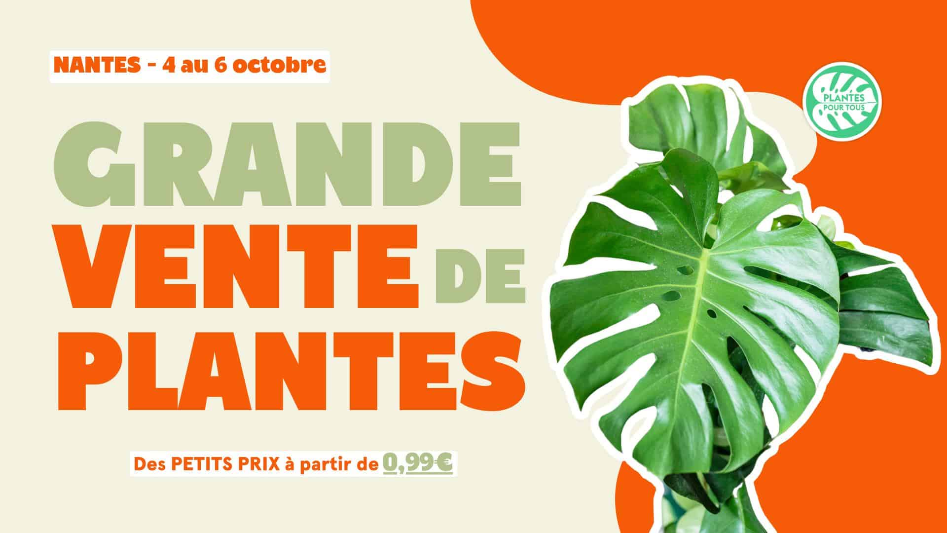 Grande vente de plantes