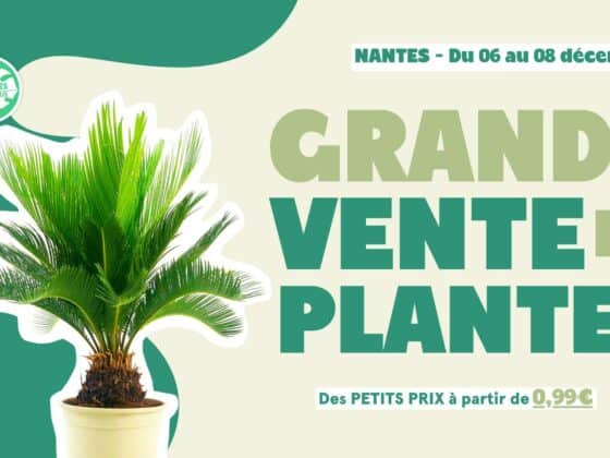 Vente de plantes décembre 2024