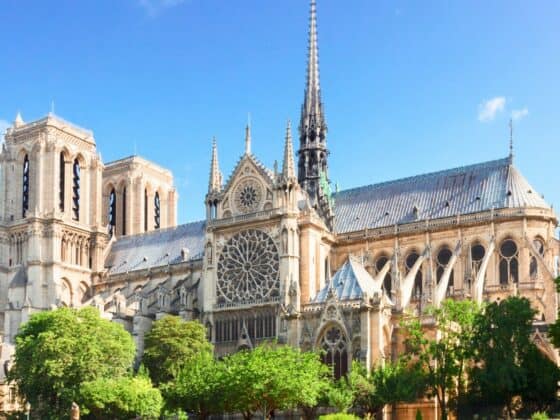 cathédrale notre dame de paris