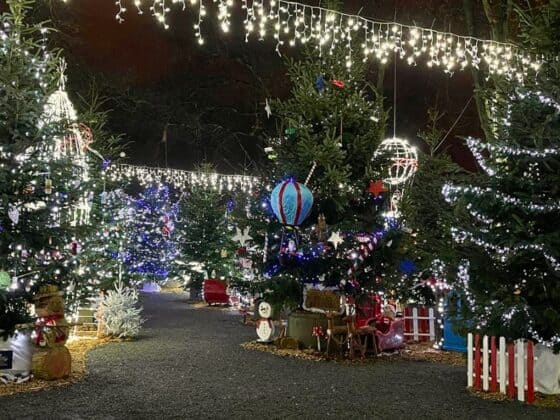 sortie Noël à côté de nantes